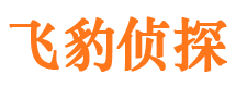 贺兰寻人公司